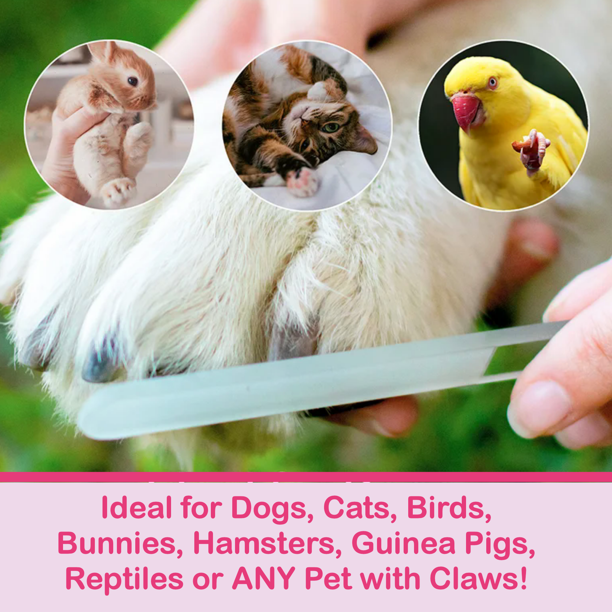 Classy Nail Files - Vendita all'ingrosso Lime per unghie - Boccioli di Rosa Fiore Rosa Regalo Lima per Unghie in Cristallo Dipinta a Mano9