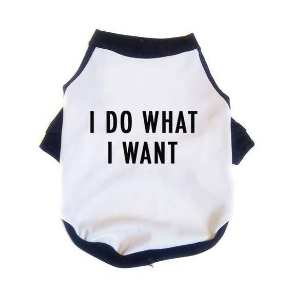 I Do What I Want Raglan Shirt for wholesale by Pawmiscuous