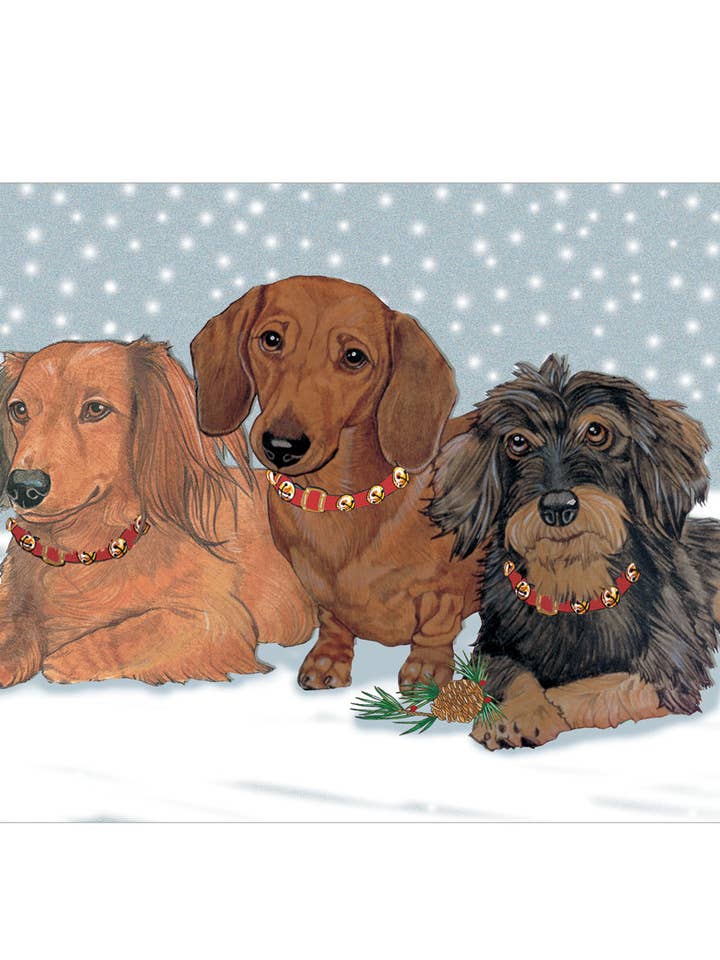 Dachshund with Pinecones Christmas Cards Pack of 10 for wholesale by Pipsqueak Productions