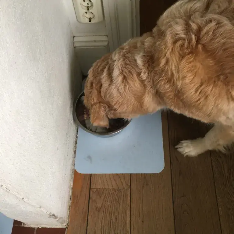 Pufz - Wholesale Placemat - Anti Slip Placemats for Kids6