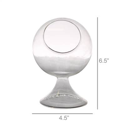 HomArt - Wholesale Terrarium - Sole Terrarium, Glass - Round, Sm