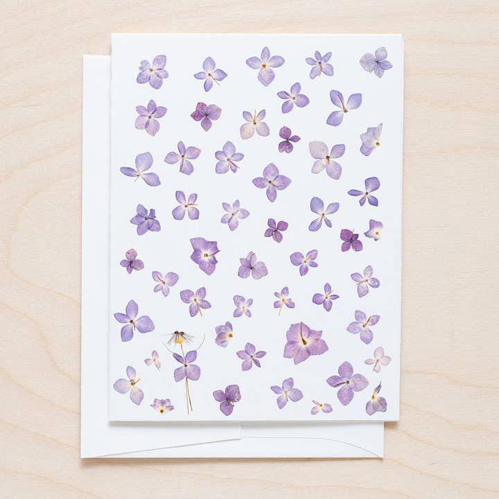 Dov'è Walda? (interrotto) per la vendita all'ingrosso da parte di Petal People Press