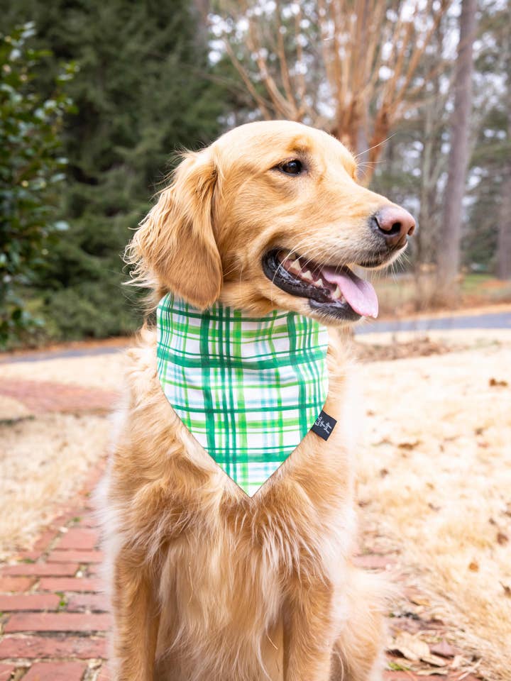 Green Plaid Dog Bandana - Cute Dog Bandana for wholesale by Tails Up, Pup