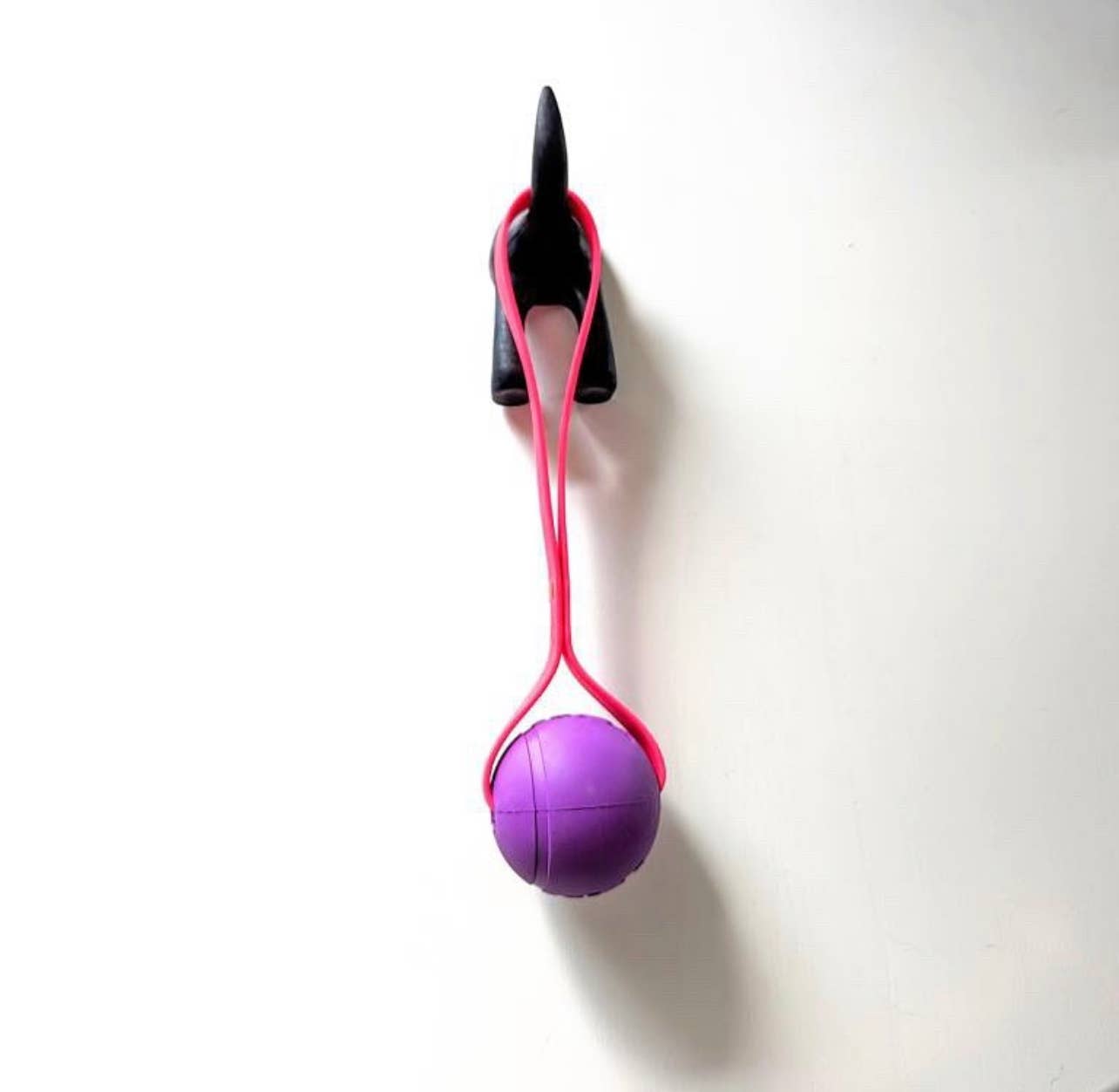 Mile High Paws - Wholesale Pet Toy - Dog - BioThane Tug Toy | Fetch Toy | Toss Toy | Training Reward0