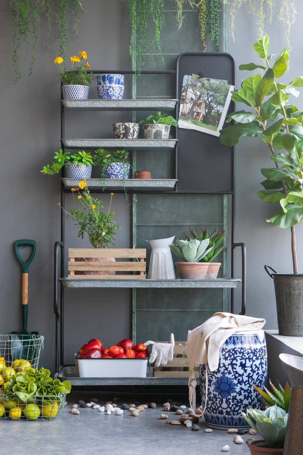 A&B Home Group Inc. - Wholesale Plant Pot - S/4 D5.5x5" Terracotta Planters10