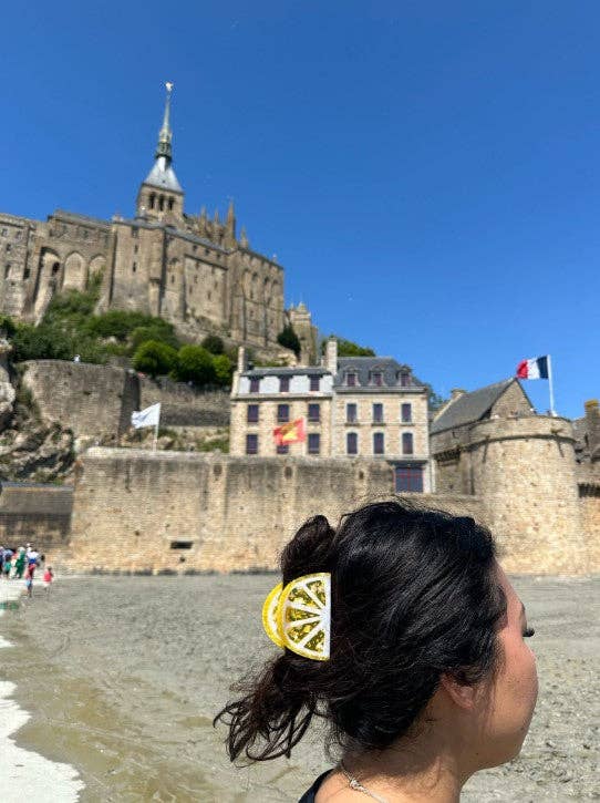 Solar Eclipse - Venta al por mayor Horquilla para el pelo - Mujer - Pinza para el cabello con diseño de rodaja de cítrico pintada a mano | Ecológica3