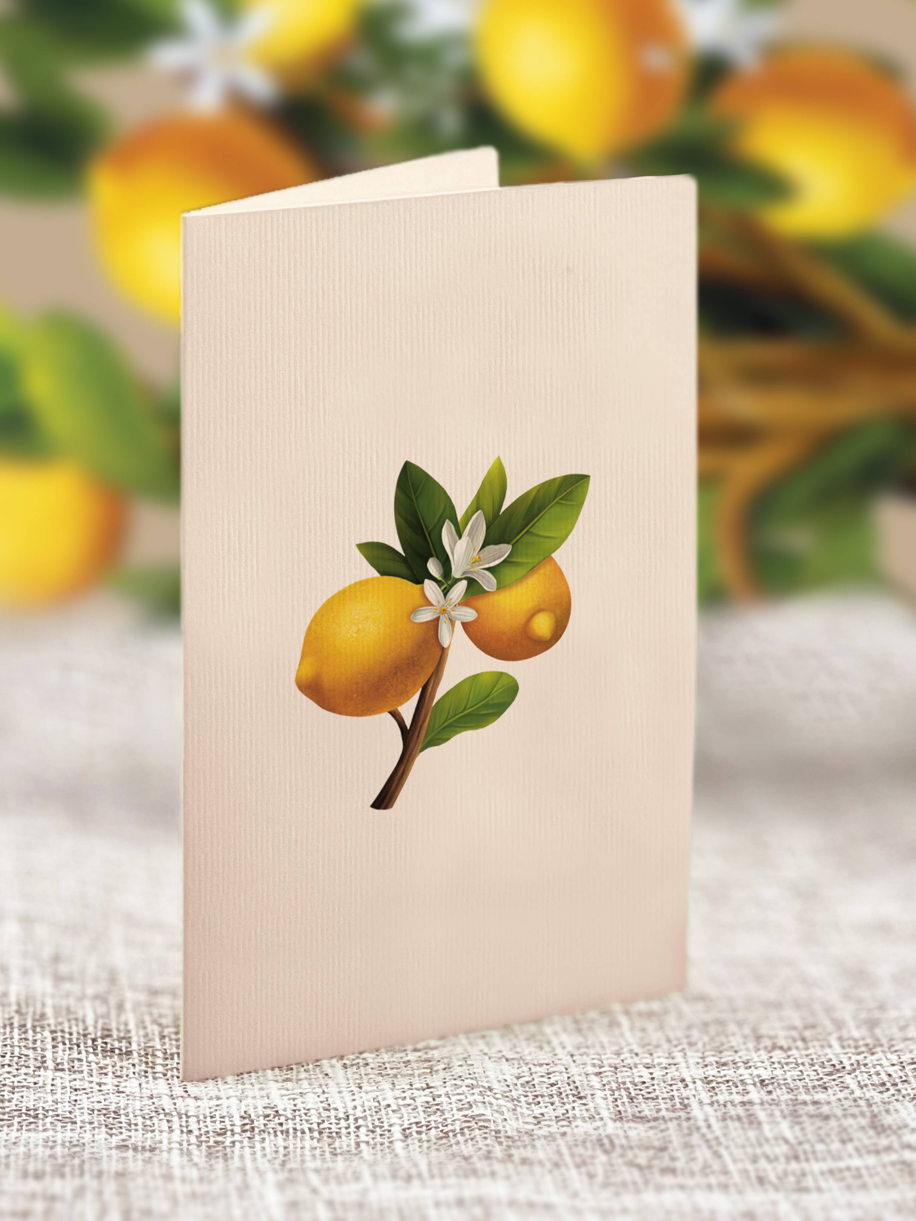 FreshCut Paper LLC - Wholesale Everyday Greeting Card - Mini Lemon Blossom Tree  (10 Pop-up Greeting Cards)4