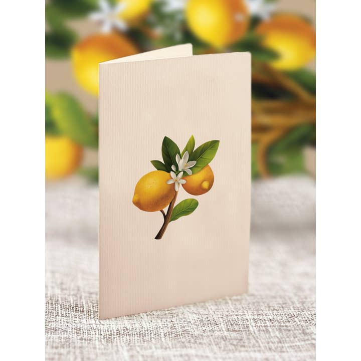 FreshCut Paper LLC - Wholesale Everyday Greeting Card - Mini Lemon Blossom Tree (10 Pop-up Greeting Cards)4