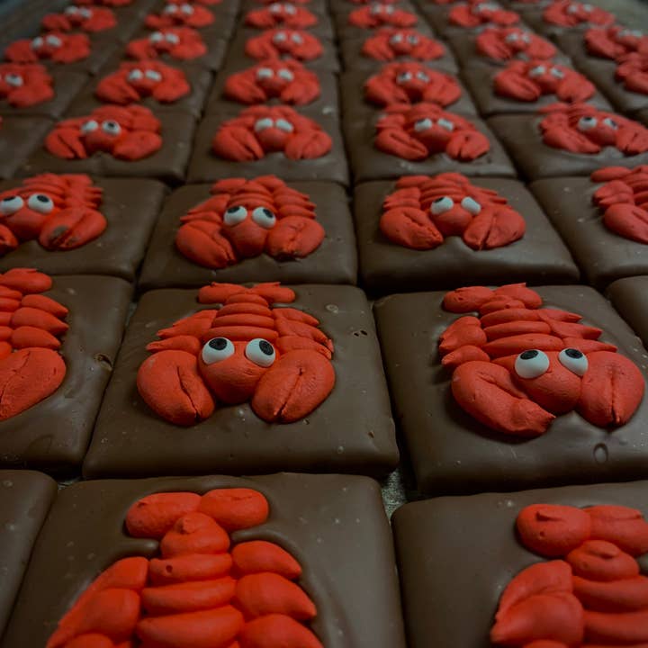 O'Shea's Candies Sweet Shop - Wholesale Chocolate Covered Sweets - O’Grahams Jumbo Lobster 🦞 Theme - Milk Chocolate 2 PACK3