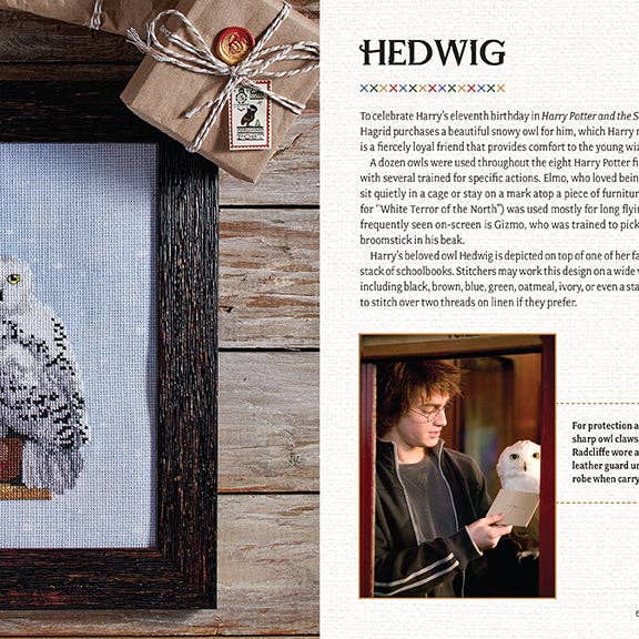 Insight Editions - #1 Pop Culture Publisher - Vente Livre sur l'artisanat, les loisirs créatifs et le bricolage - Harry Potter : le livre officiel du point de croix de Poudlard3