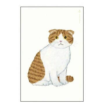 Greeting Life Yusuke Yonezu Postcard for wholesale by Greeting Life America