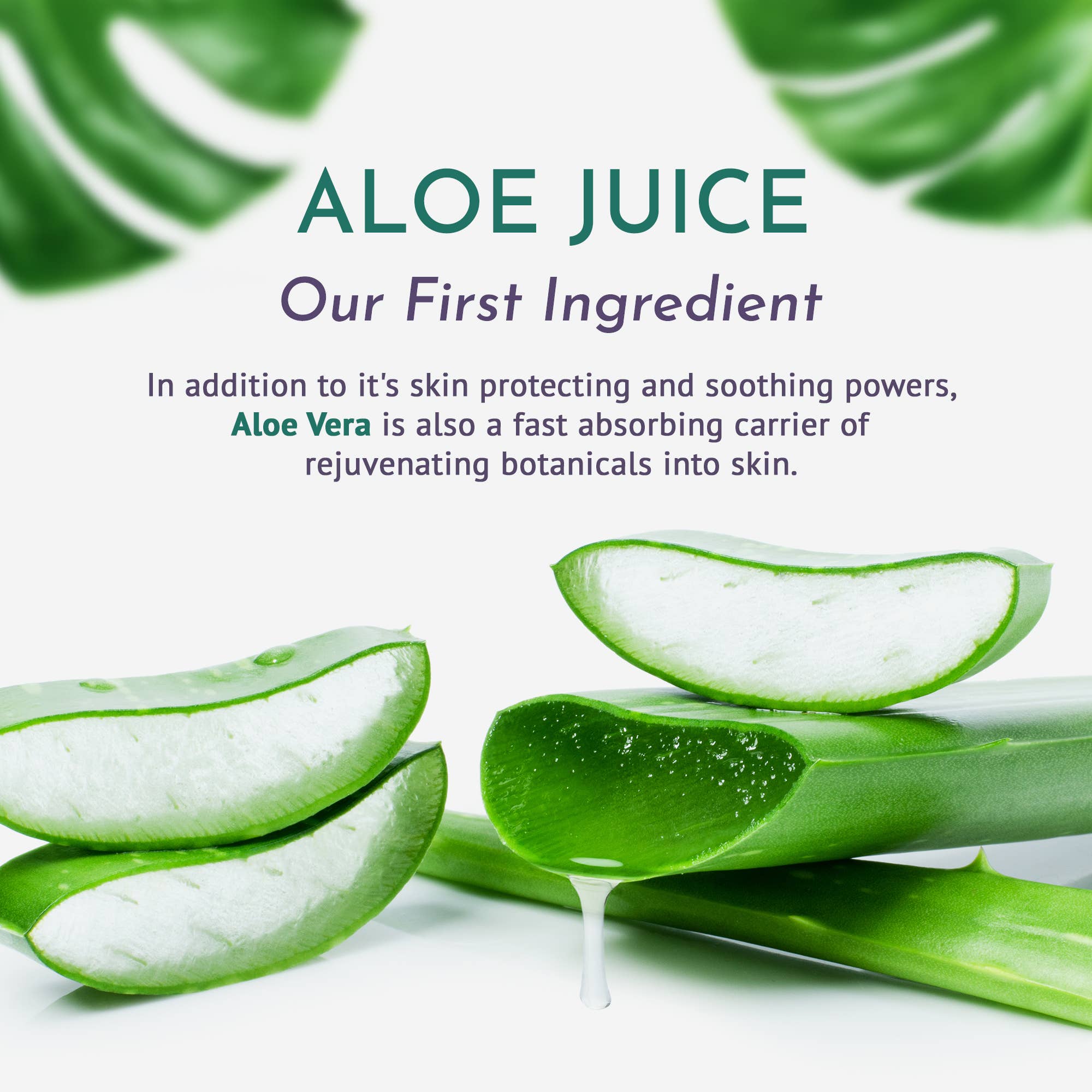 OM Botanical Plant-based Skin Care - Wholesale Eye Cream/Gel - Eye Cream with Peptides4