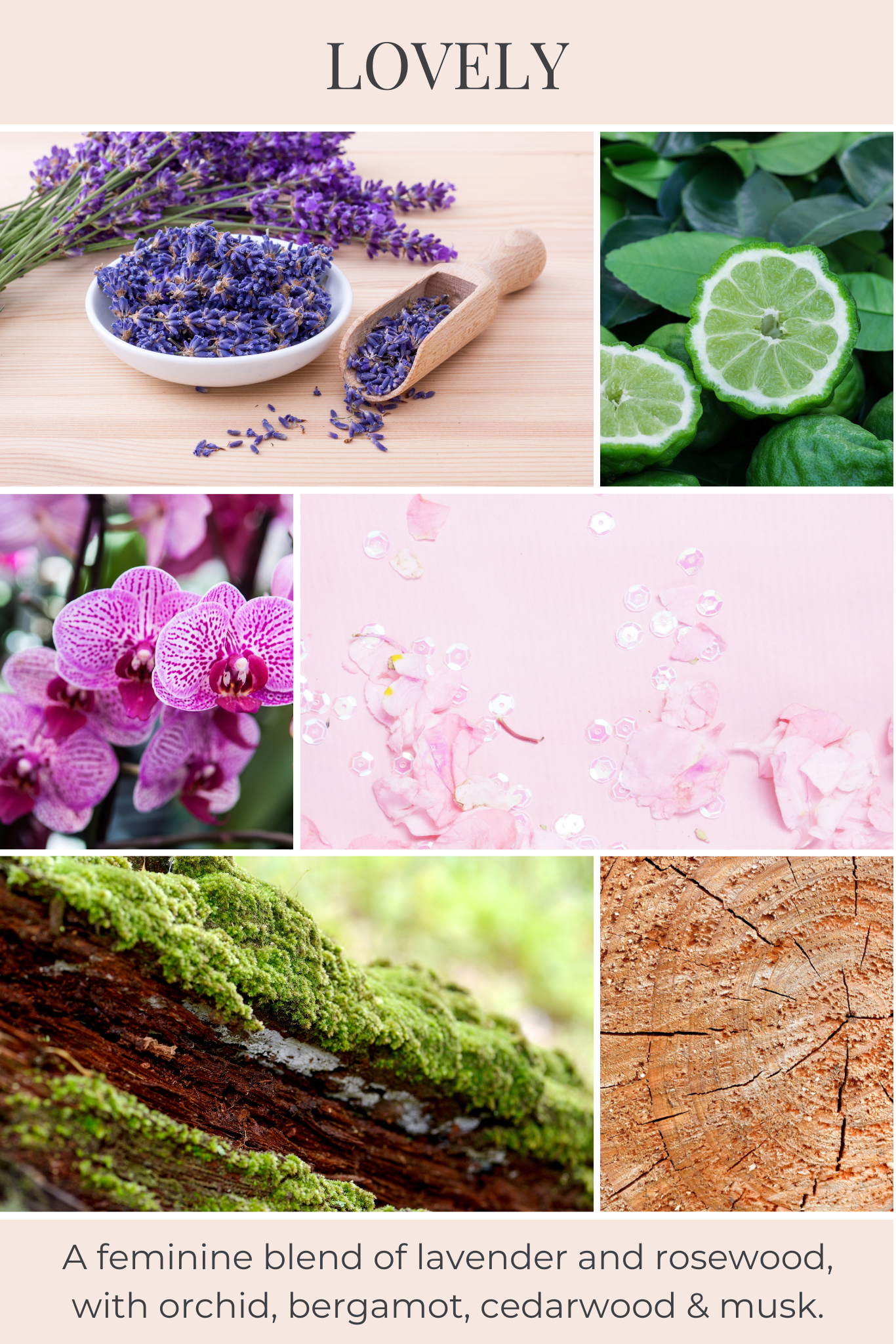 Eco Candle Company - Vente Diffuseur à tiges - diffuseur de parfum LOVELY1