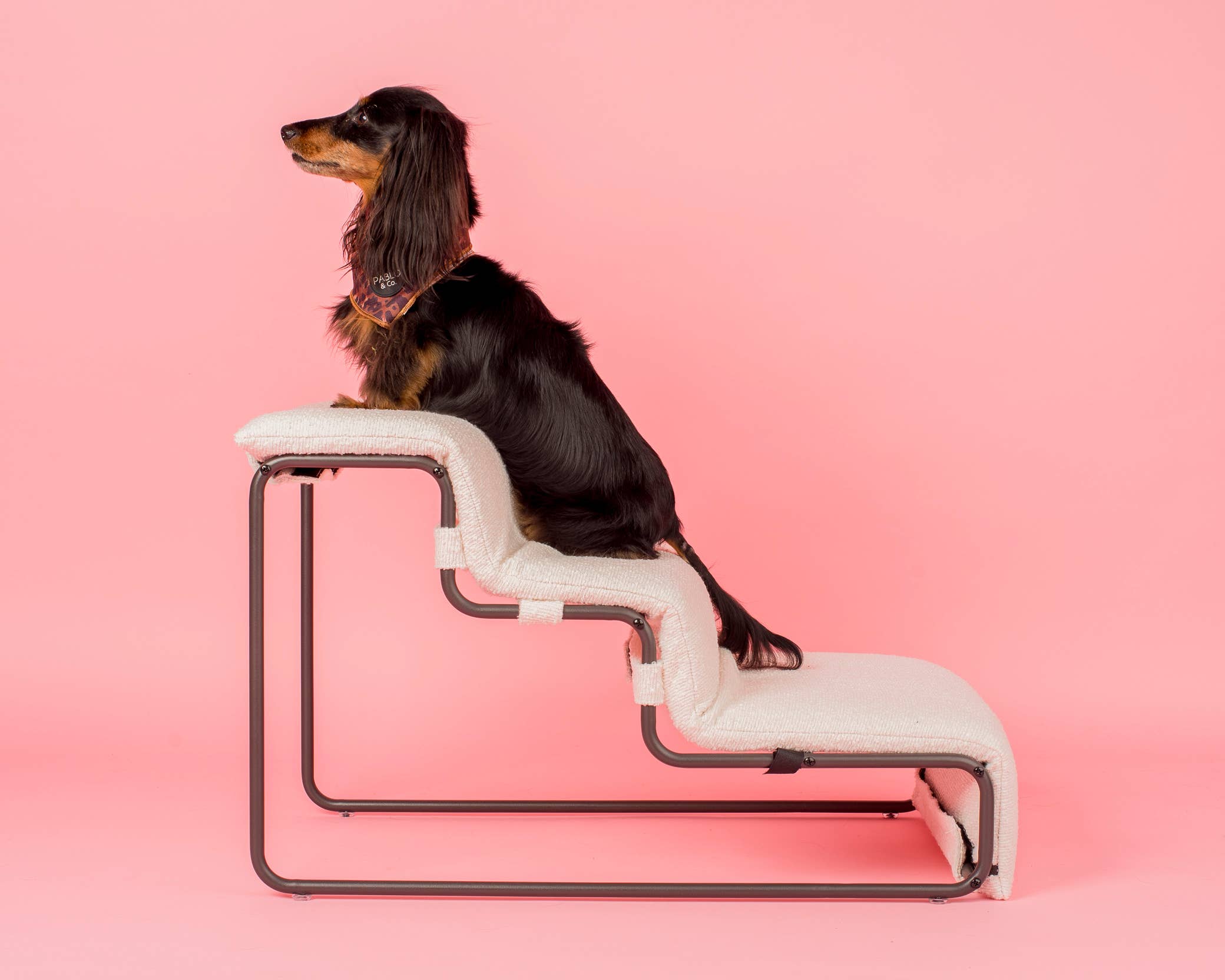 Pablo & Co. Boutique - Wholesale Pet Bed - Cat/Dog - Pet Stairs for Cats & Dogs - White Boucle5