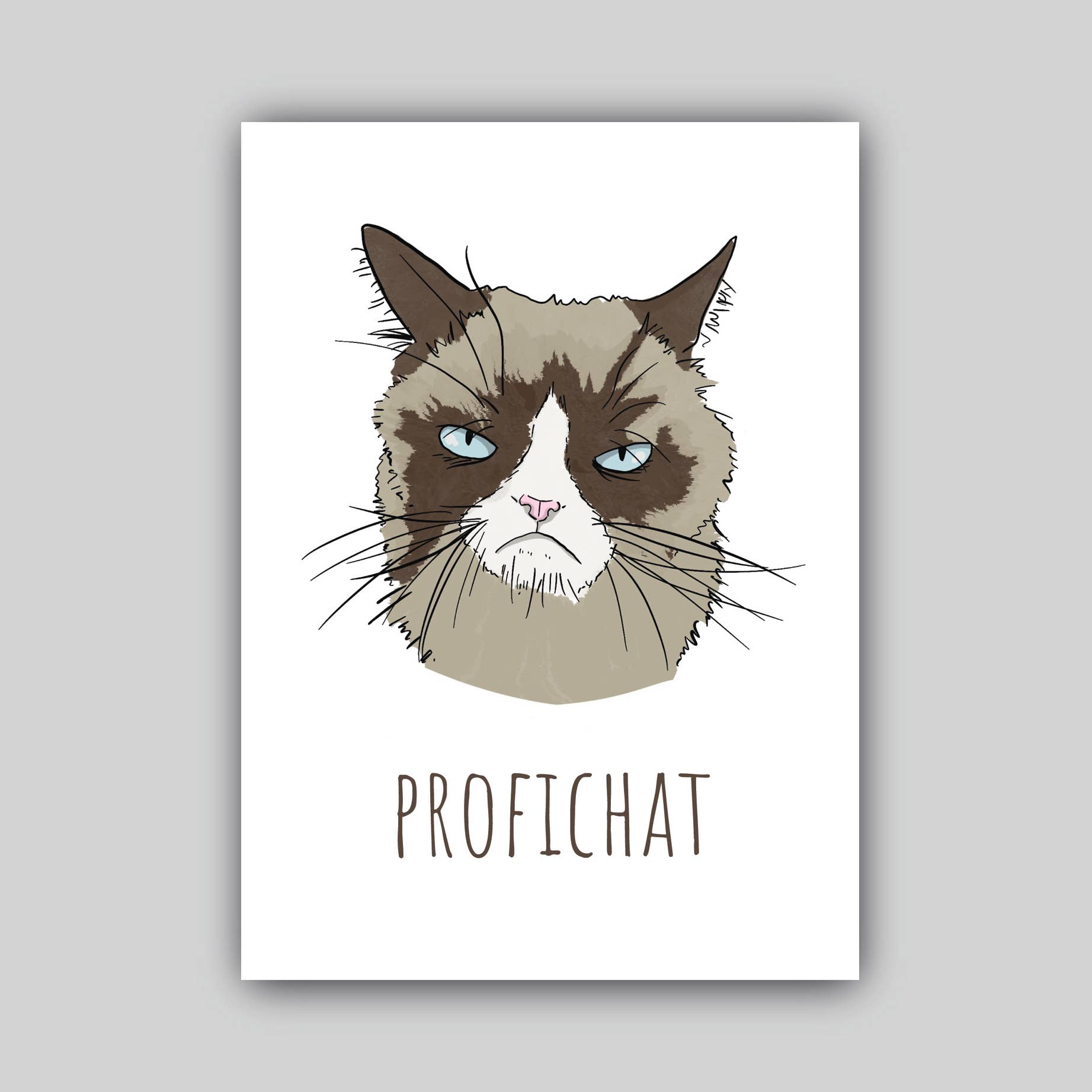 Studio Raquelle - Wholesale Everyday Greeting Card - Profi Chat!0