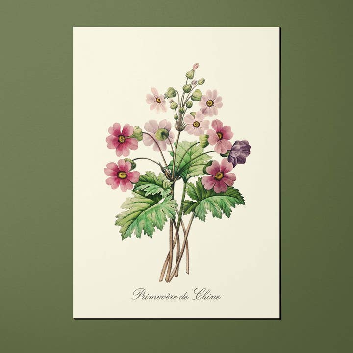 Carte postale Fleurs Primevère de Chine - FLE0001 et autres tendances Résultats pour chinois inox en vente B2B. Retours gratuits et paiement à 60 jours sur Faire sur Faire.