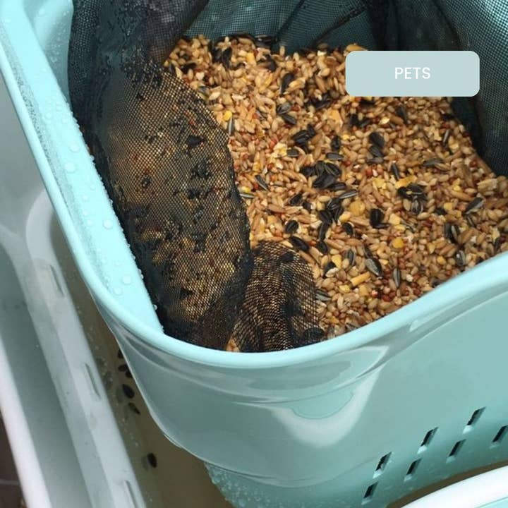 Strucket - Wholesale Laundry Basket - Strucket 19L (5 Gallon) Strainer Bucket – 6 Pack Aqua15