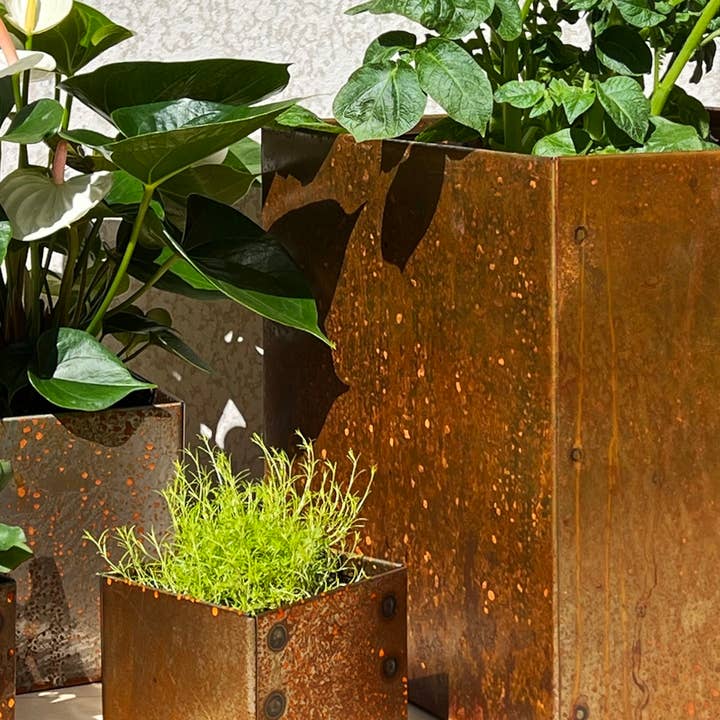 steel planter box 12" for wholesale by Free House