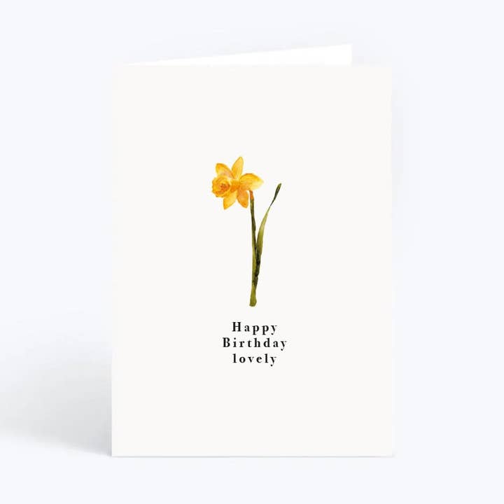 Feliz aniversário adorável por atacado de Anna Jayne Designs