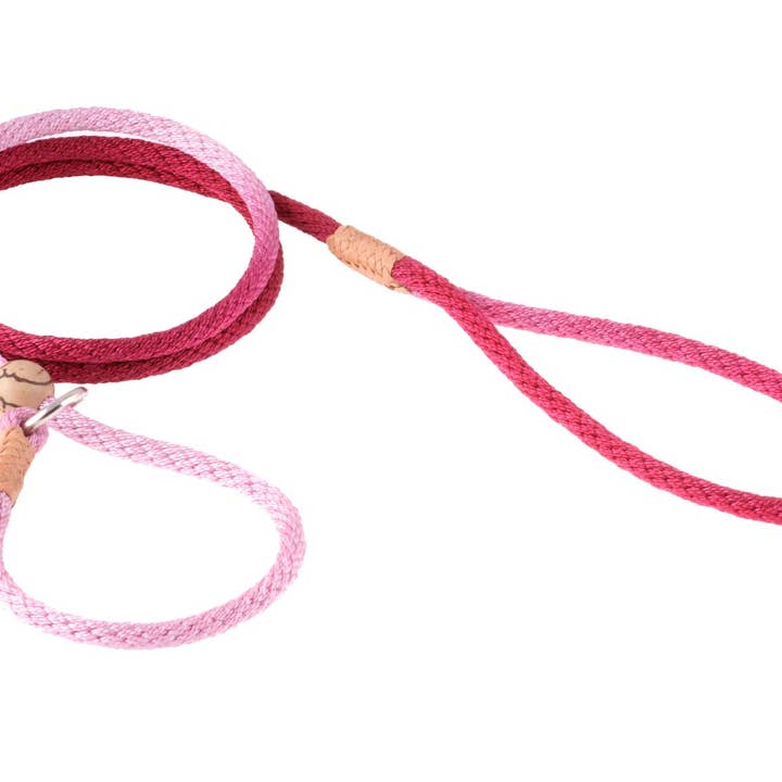Alvalley - Wholesale Pet Leash - Dog - Nylon Slip Lead With Stopper115