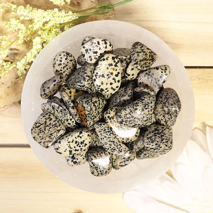 1 lb Dalmatian Jasper Tumbled Stones for wholesale by Natures Artifacts Inc