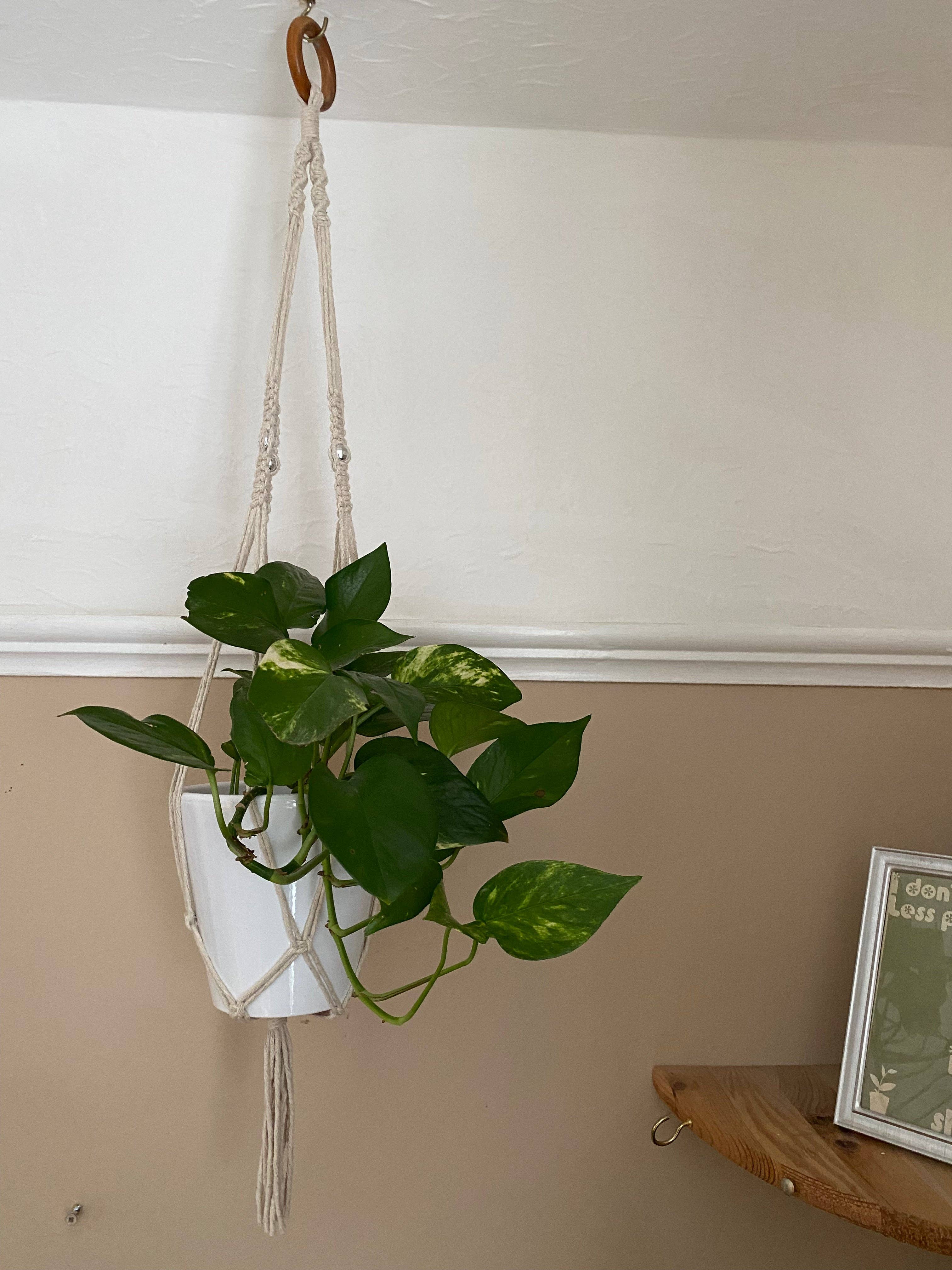 Macra-Made With Love – wholesale Hanging planter – Macramé Plant Hanger with Disco Ball Beads4