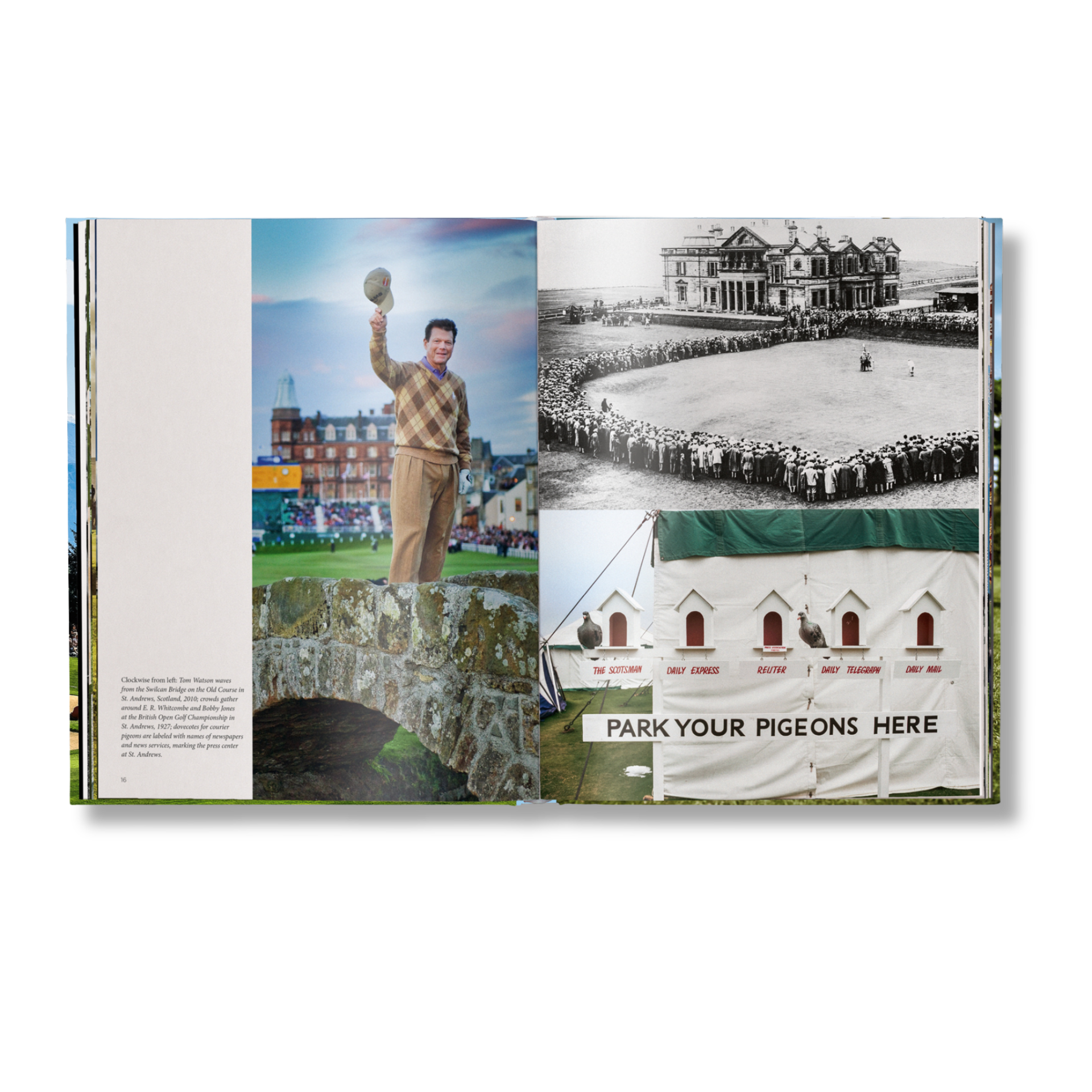 gestalten & teNeues - Wholesale Arts & Entertainment Book - The Stylish Life: Golf7