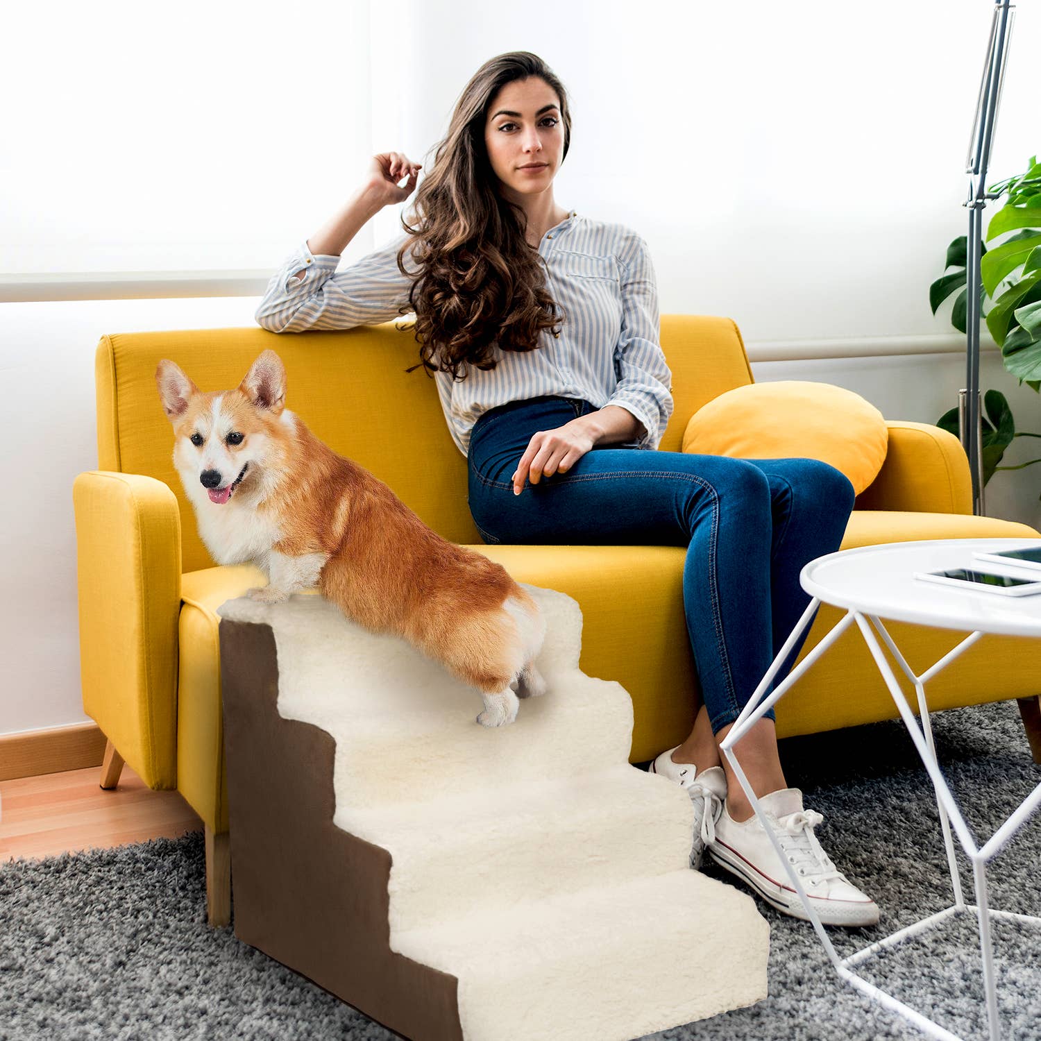 Precious Tails - Wholesale Pet Steps & Ramps - Cat/Dog - Home Base  4-Step Dog Stairs, Pet Steps for Couch and Bed5