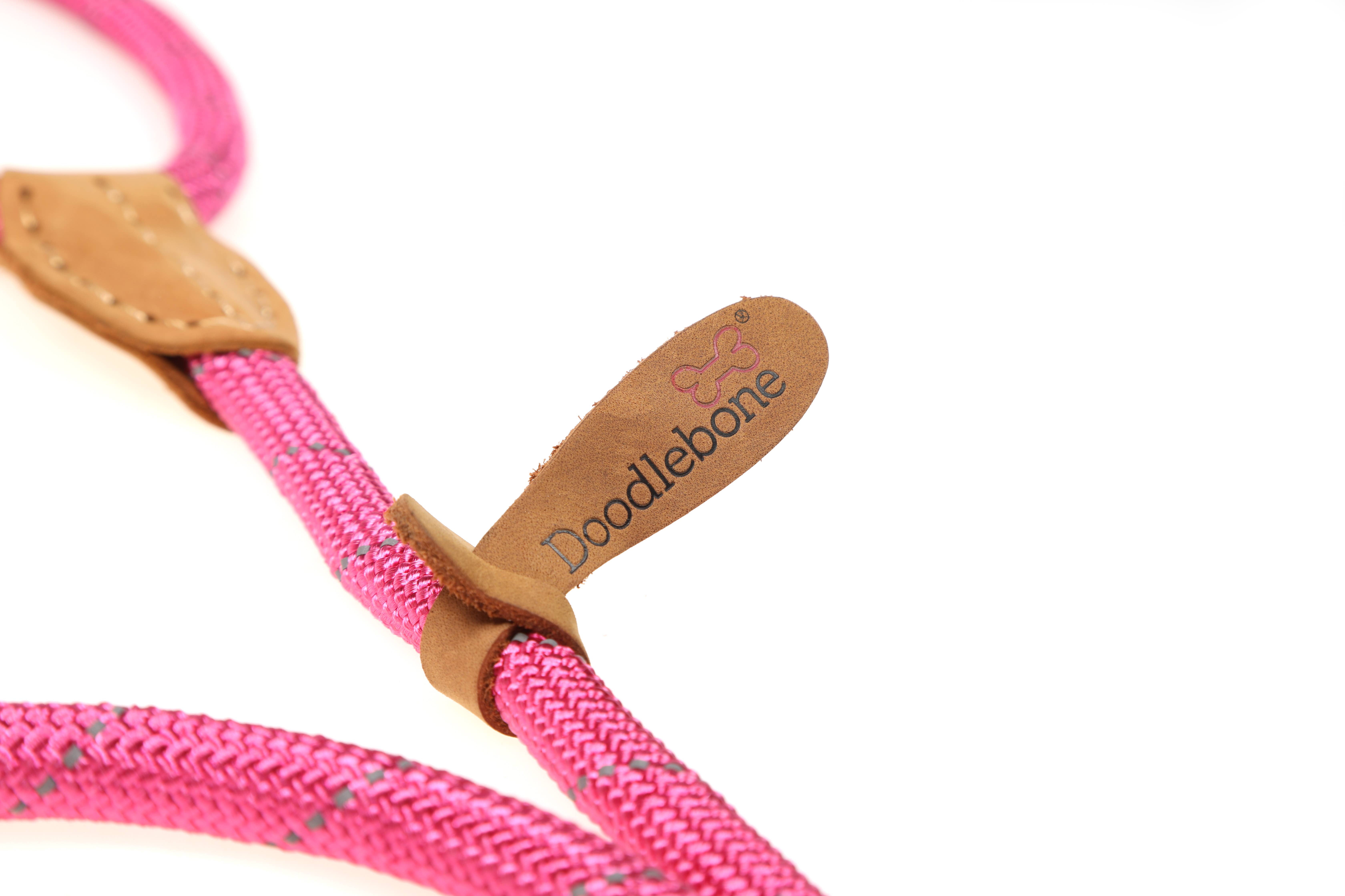 Doodlebone - Vente Laisse – chien - Laisse coulissante pour chien avec arrêt de sécurité13