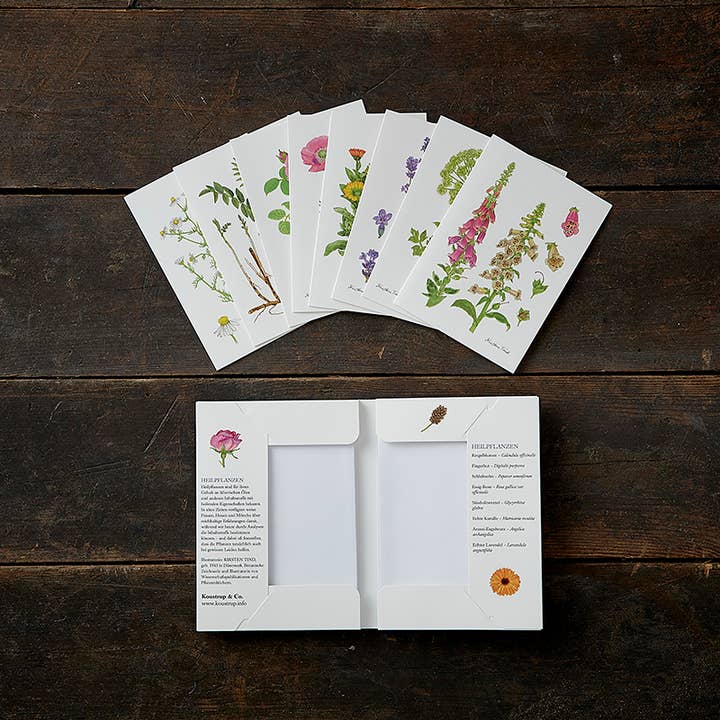 Koustrupco - Wholesale Everyday Greeting Card - Cardfolder Heilpflanzen - 8 cards w/envelopes (german)2