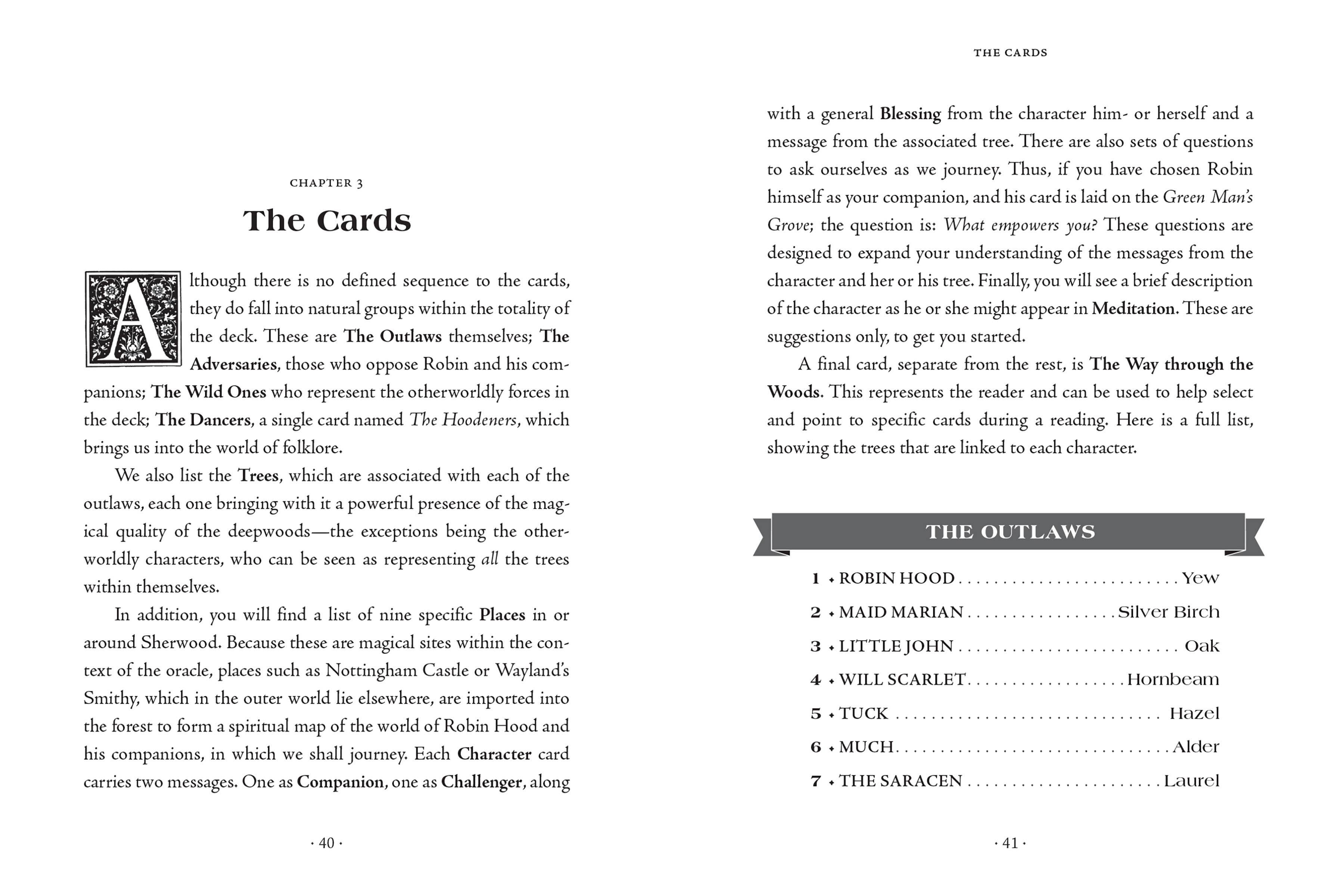 Hachette Book Group - Wholesale Tarot Cards - The Sherwood Oracle: Hidden Lore of the Wild Forest9