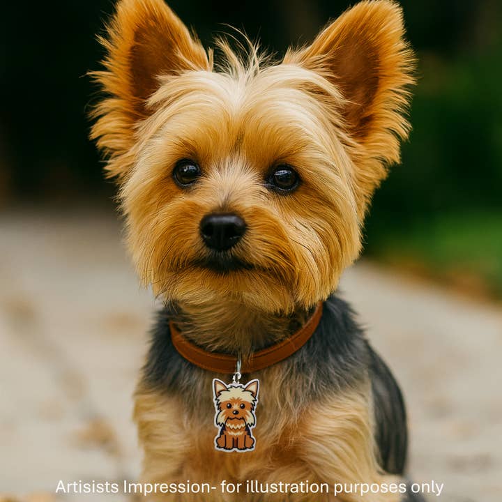 Sunbaked Lizard Jewellery & Gifts - Wholesale Pet collar charm – Dog - Yorkie Dog Collar Charm | Pet Accessories | Pet charms1