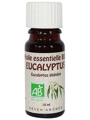 Eucalyptus globulus Organic Essential Oil 10ml for wholesale by Céven'Arômes