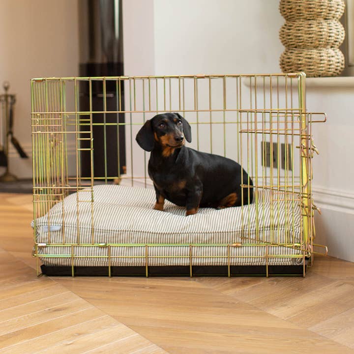 Almofada para Cão em Regency Stripe por atacado de Lords and Labradors