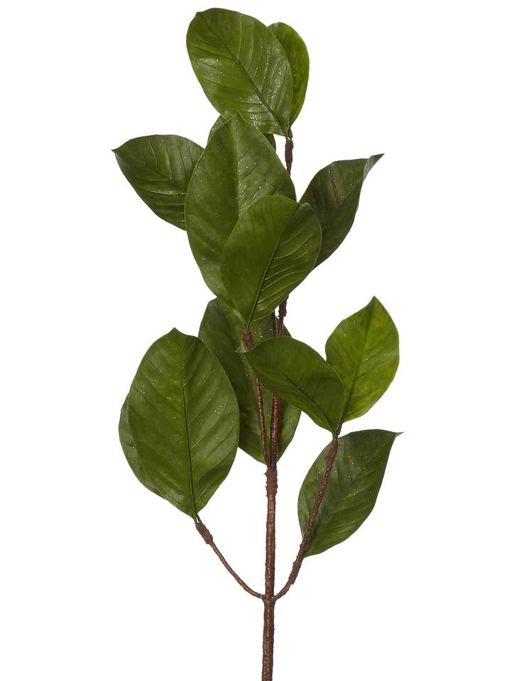 HOJA DE MAGNOLIA DE RAMA 39" para venta al por mayor de Studio Specialties