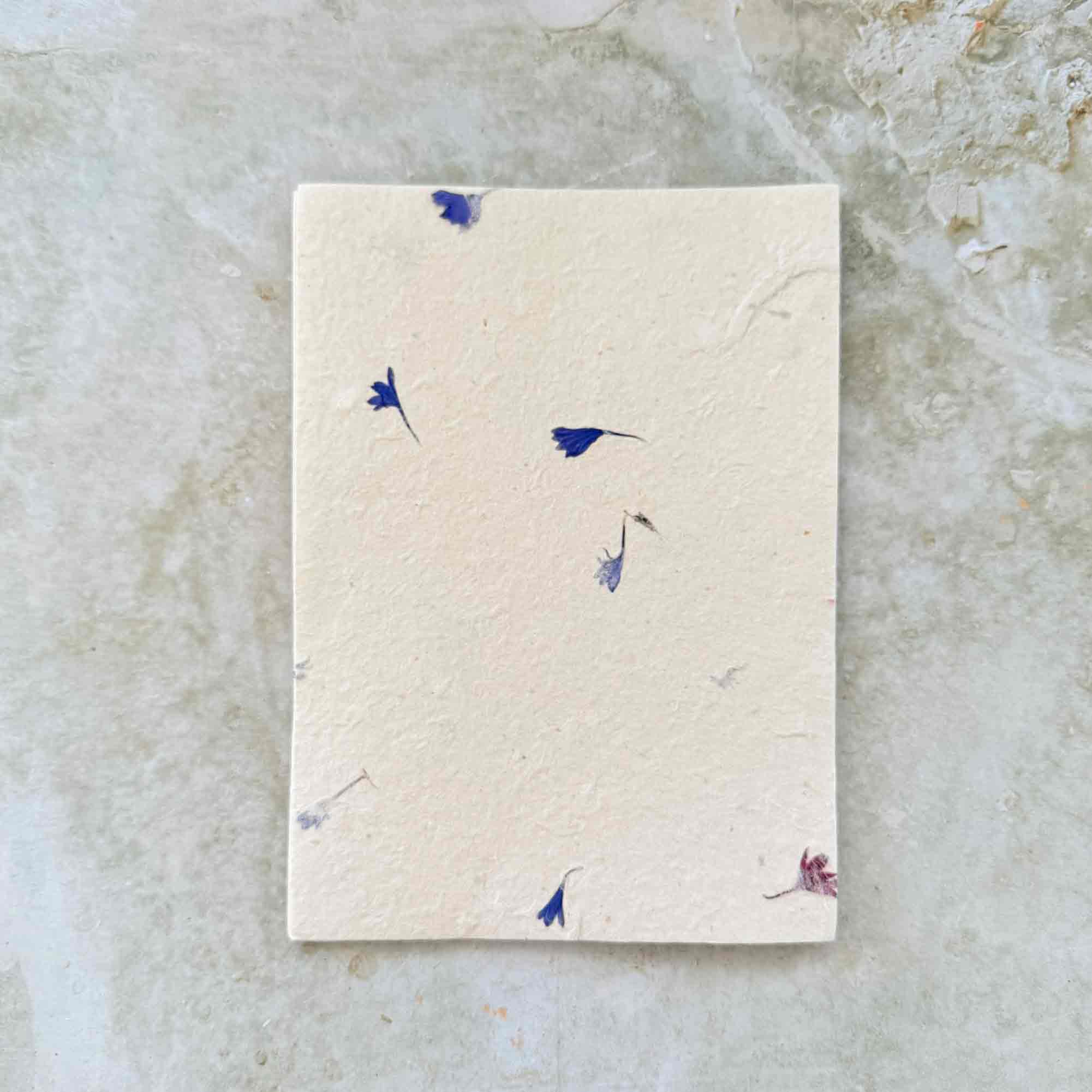 The Natural Paper Company - Vente Assortiments de papeterie/cartes - Papier Lokta fait main au Népal et enveloppes - Bleuet0