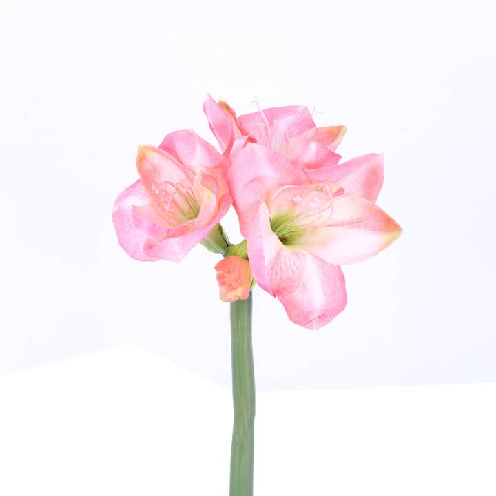 Green Import Limited - Wholesale Artificial Flowers - FL10831 AMARYLLISx3F1B,26in-12P/48/5.77'