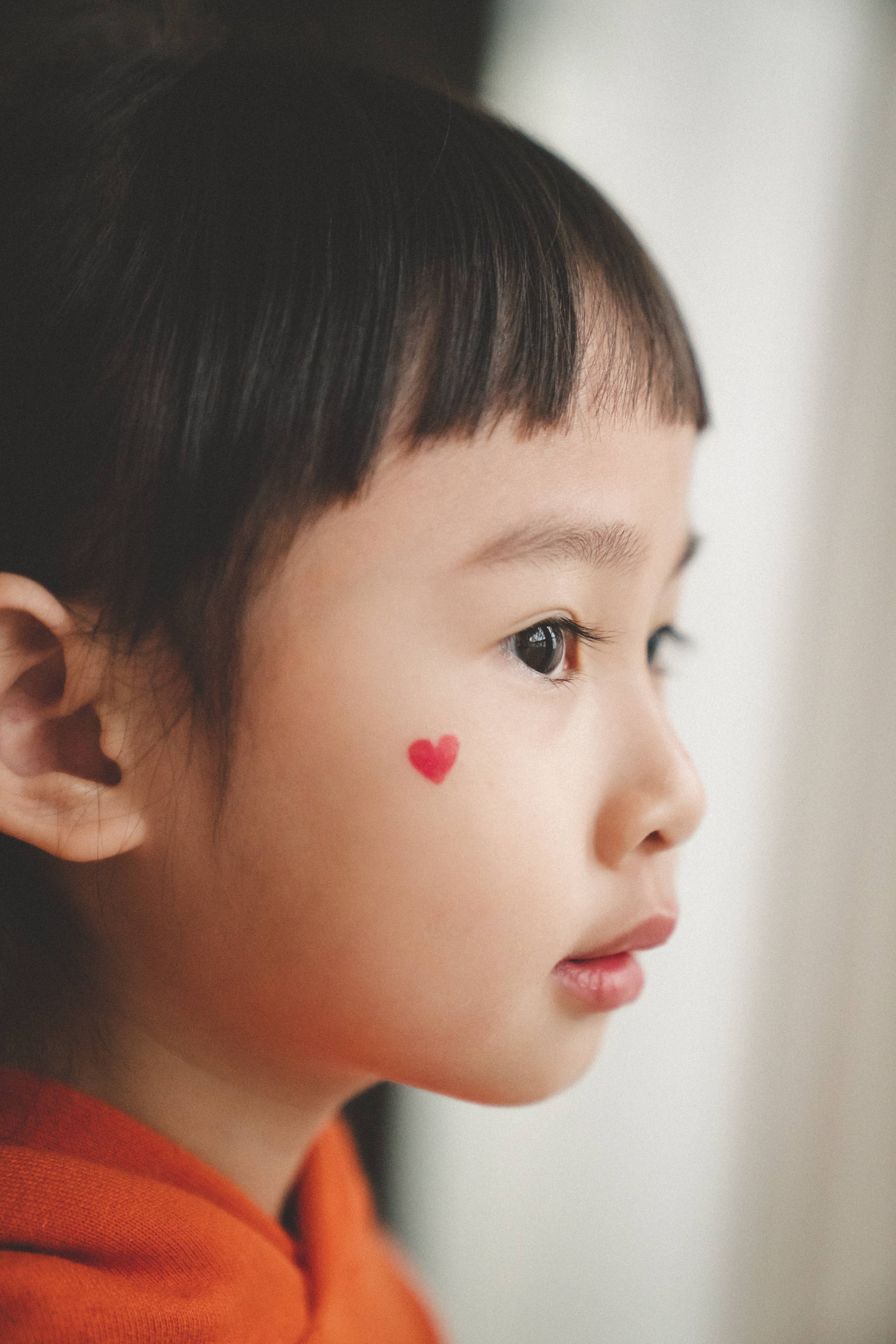 PAPERSELF – Engroshandel Midlertidig tatovering – Zoo Midlertidige Tatoveringer Klistermærker12