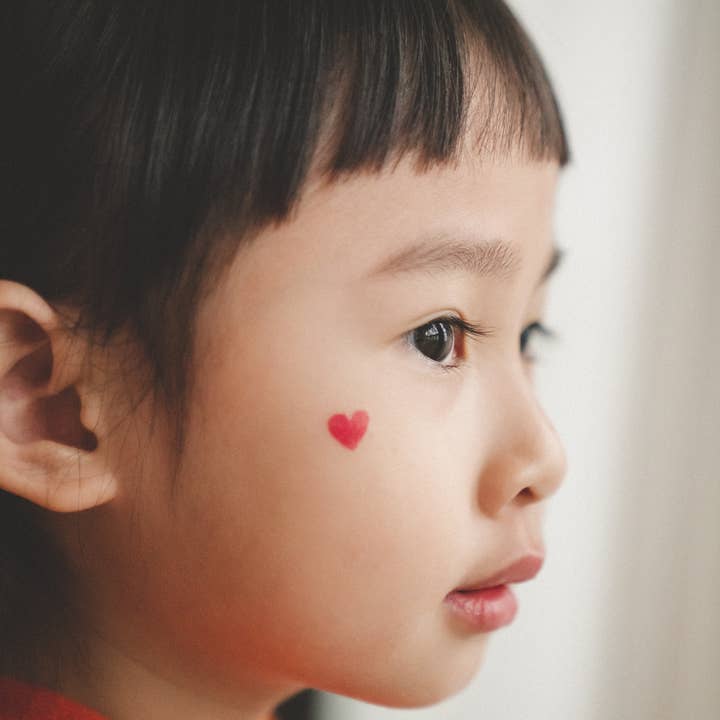 PAPERSELF – Engroshandel Midlertidig tatovering – Zoo Midlertidige Tatoveringer Klistermærker12