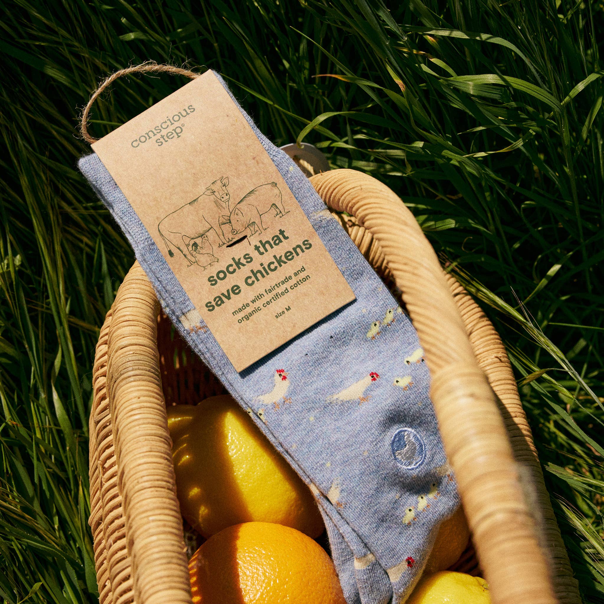 Conscious Step – Meias - Unissexo por atacado – Meias que Salvam Galinhas3