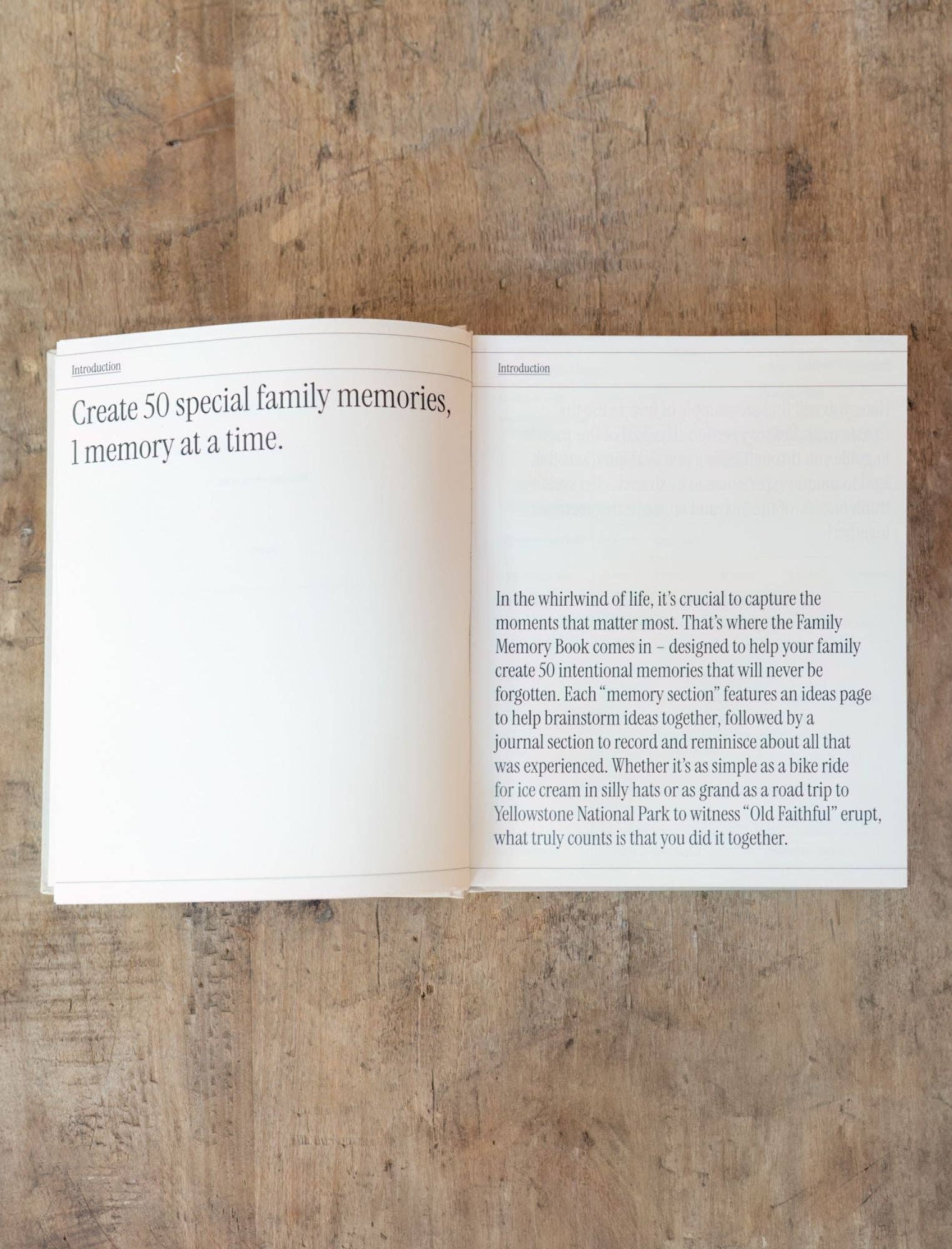 Jenessa Wait - Venta al por mayor Diario/agenda - Libro de recuerdos familiares: 50 recuerdos creados juntos6