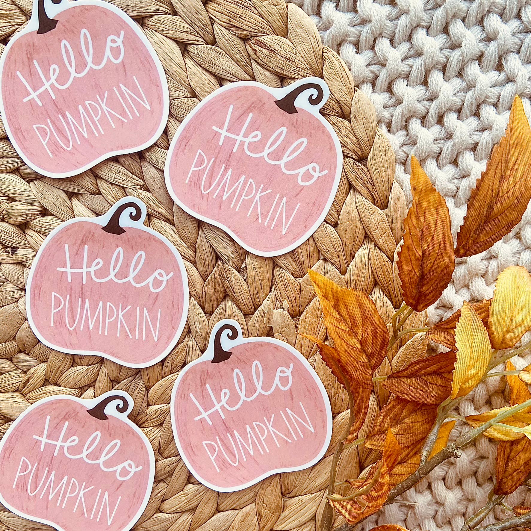 Makerie Day - Wholesale Sticker - Hello Pumpkin Sticker1