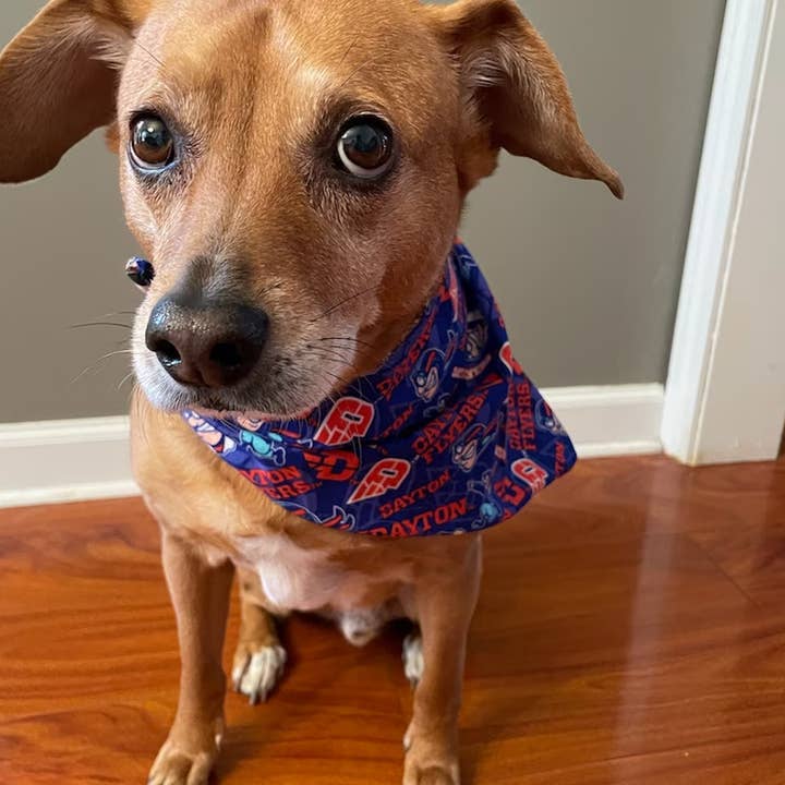 Reversible Dayton and Ohio Pet Bandana for wholesale by Kase Wear