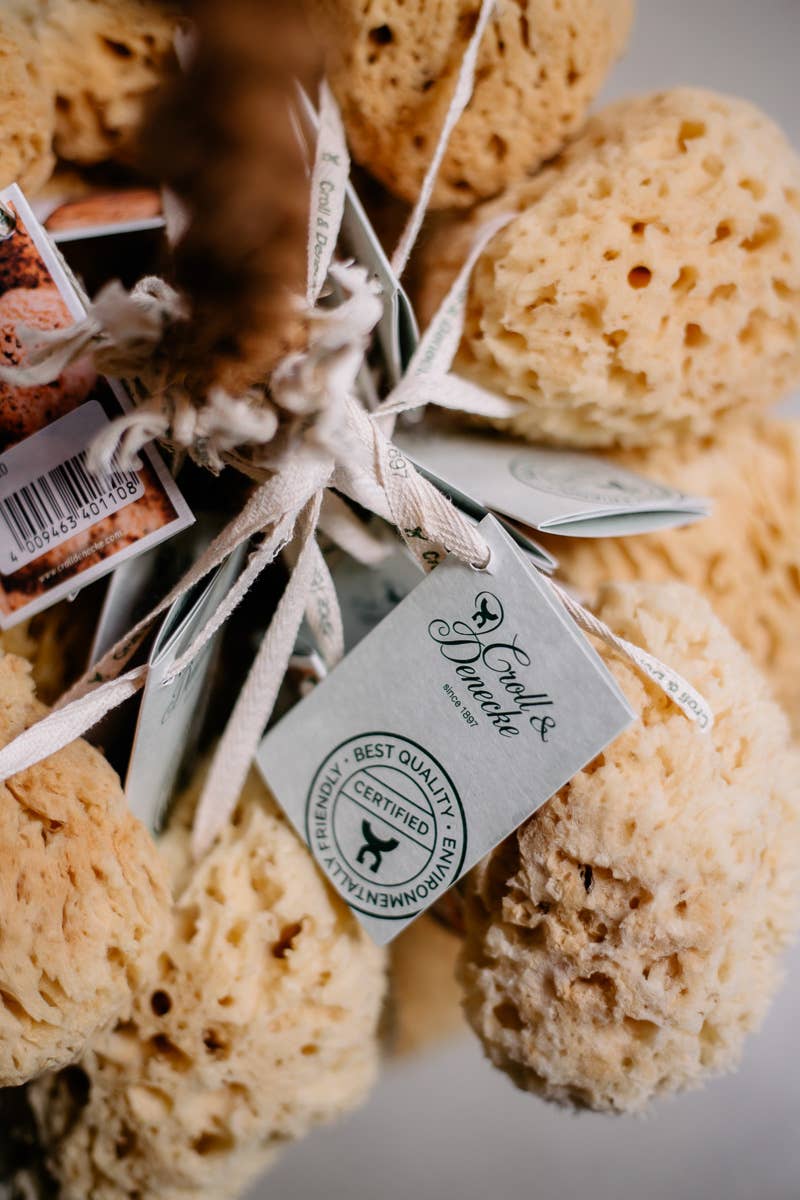 Croll & Denecke – Großhandel Badepuff/-schwamm – Naturschwamm Traube, Shop Display 20251