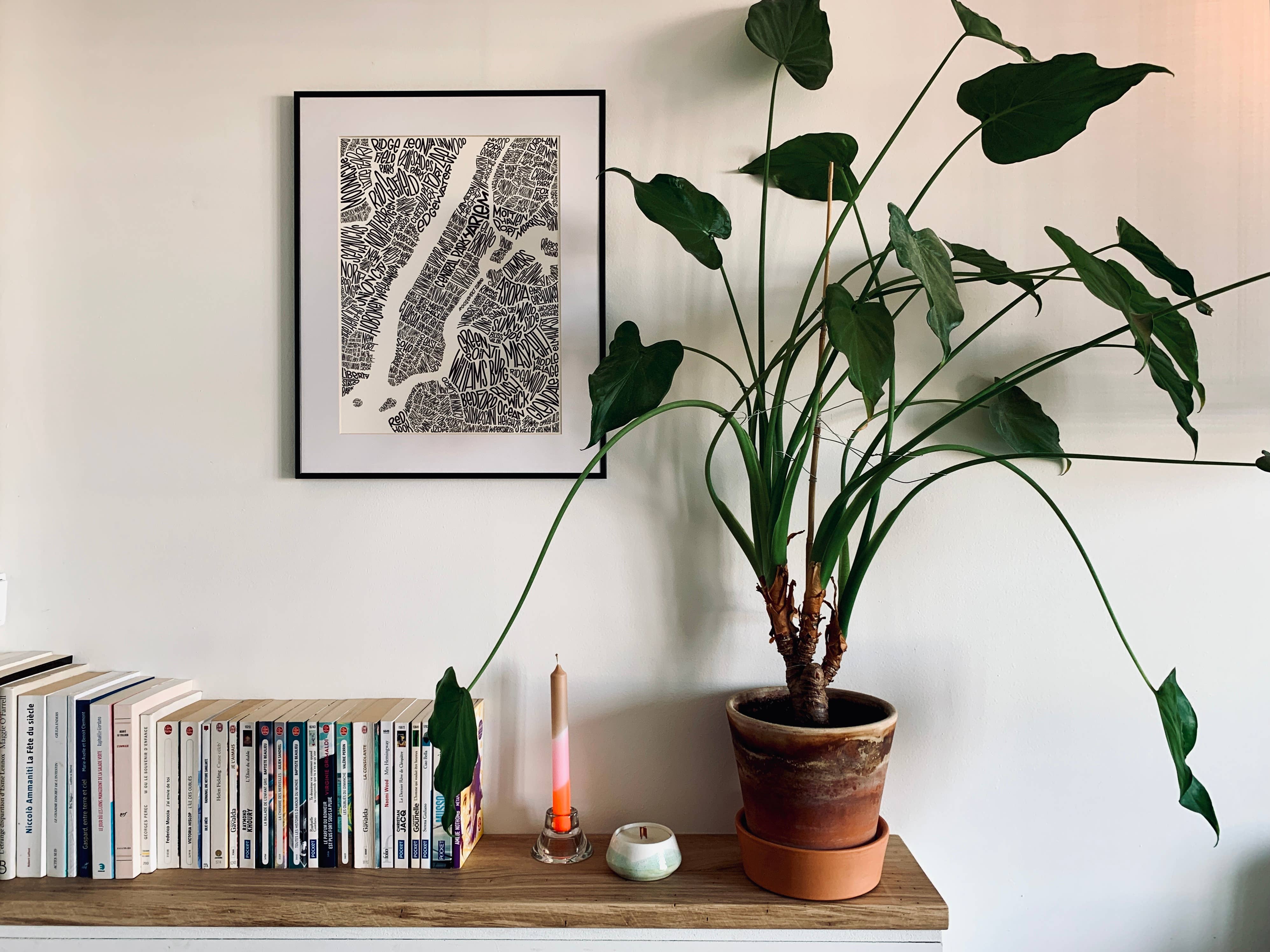 Les Petits Plans – Engroshandel Plakat – Plakat med New Yorks bydele og seværdigheder2