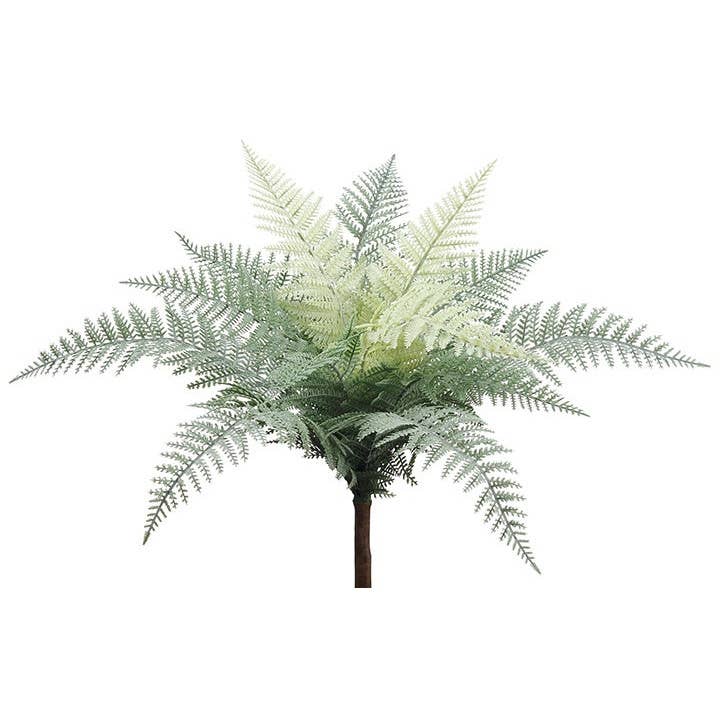 Variegated Soft Touch Leatherleaf Fern Bush-Sage Green, 14" for wholesale by Will's Company