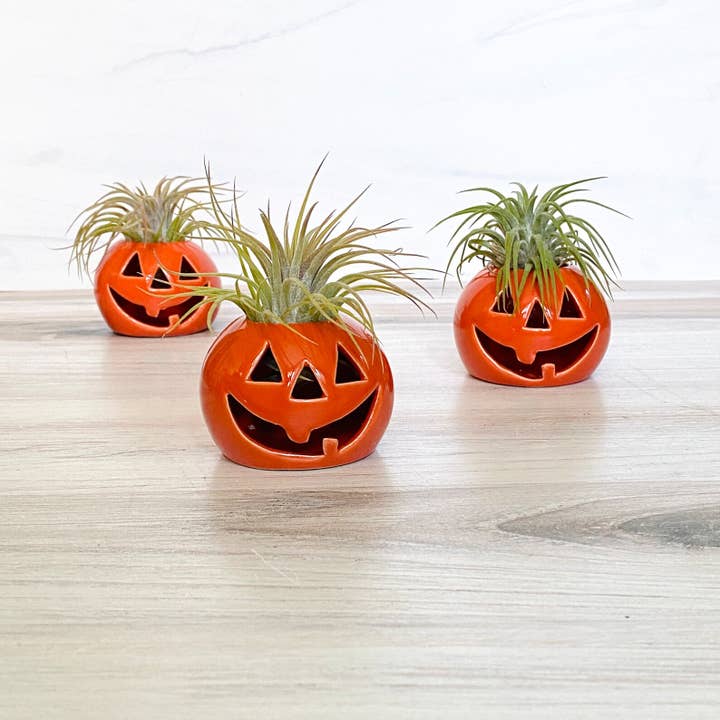 The Simply Crafty Shop - Vente Pot - Support de plante aérienne Jack-O-Lantern en céramique3