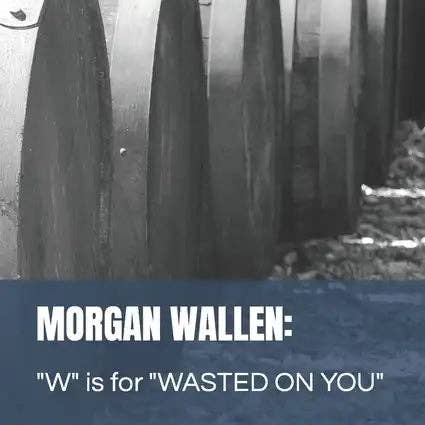 Books by splitShops - Wholesale Book - Adult - Morgan Wallen: "W" is for "WASTED ON YOU" - Paperback