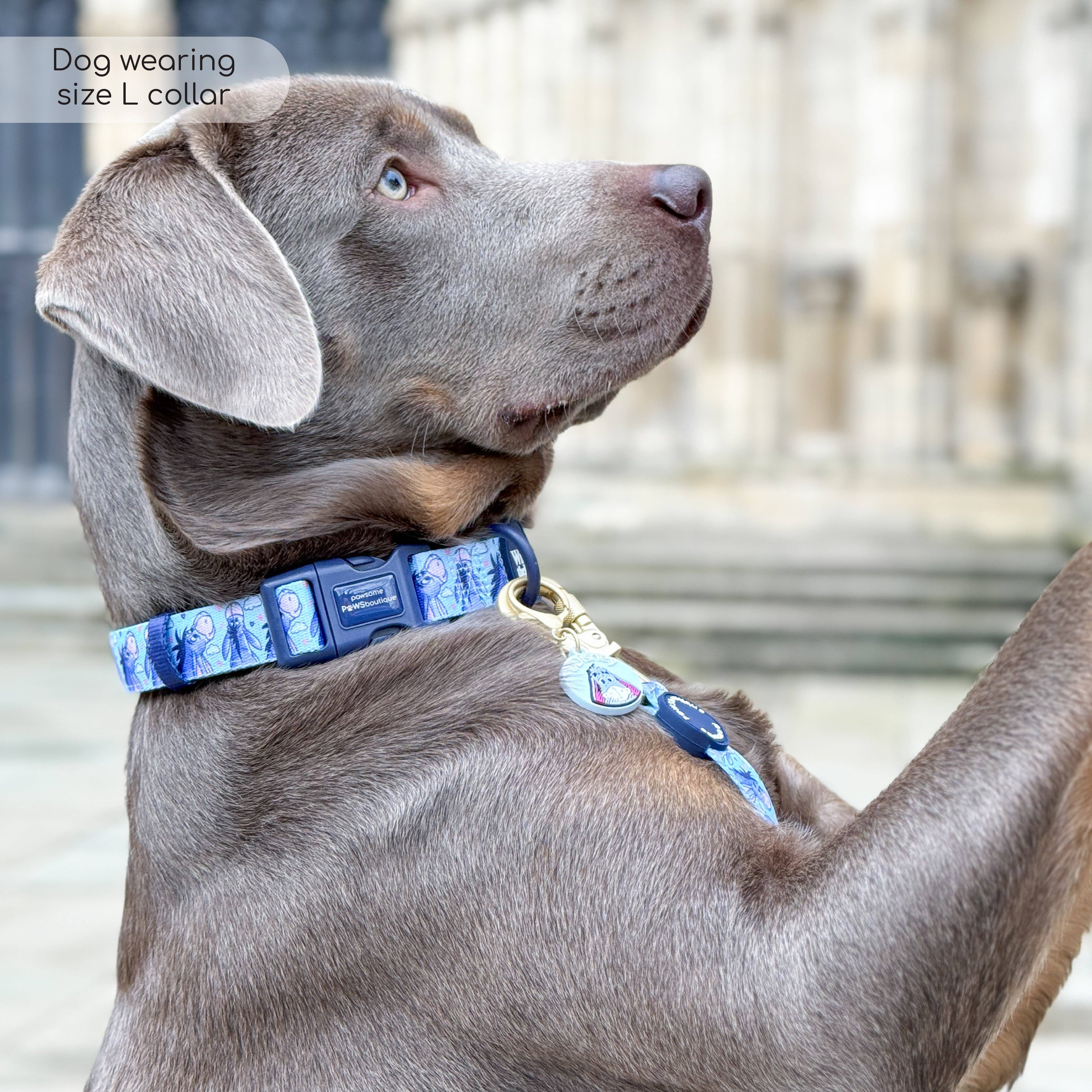 Pawsome Paws - Vendita all'ingrosso Collare - Cani - Collare Disney© - Ih-Oh7