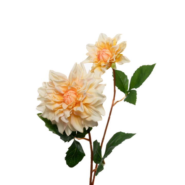 Echte Aanraak Dahlia - 24 Inch - Geel voor wholesale door Mills Floral Company